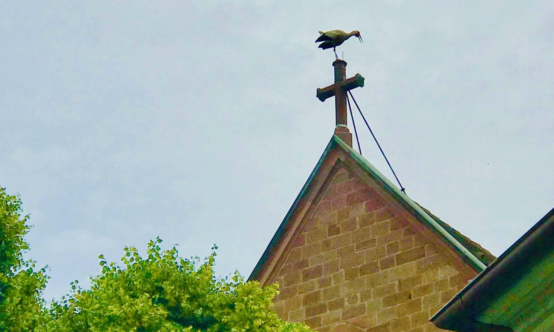 Storch auf dem Kirchenkreuz